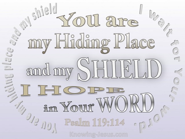 Psalm 119:114 Your Are My Hiding Place (white)